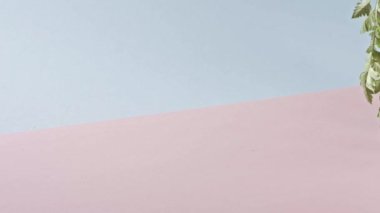 Pembe ve mavi arkaplanda hareket eden eğreltiotu dalı, kopyalama alanı. Taze yeşil bitki.