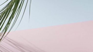Pembe ve mavi arkaplanda hareket eden palmiye dalı, kopyalama alanı. Tropik yeşil yapraklar