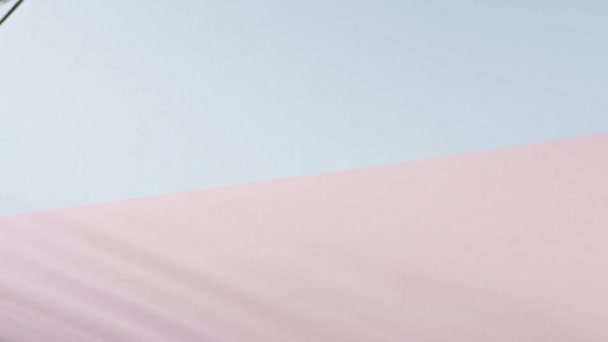 Пальмова Гілочка Рухається Рожево Синьому Фоні Копіює Простір Тропічне Зелене — стокове відео