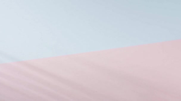 Palmzweig Bewegt Sich Auf Rosa Und Blauem Hintergrund Kopierraum Tropisch — Stockvideo