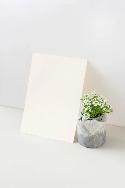 明るい灰色の背景 コピースペースに対して花と垂直紙シートの自然な新鮮な家庭植物から創造的な現代 自然環境の概念 — ストック写真