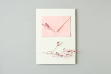 Doğal dallardan tebrik kartpostalı taze çiçekler ve açık gri arkaplandaki mesaj için kağıt pembe zarf, kopyalama alanı. Düz yatıyordu.