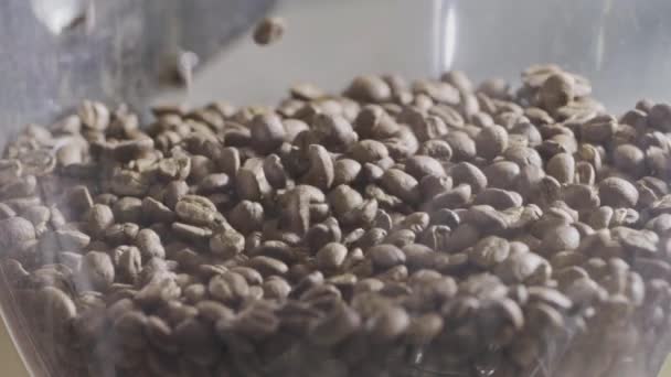 Doftande Kaffebönor Glasskål Video — Stockvideo