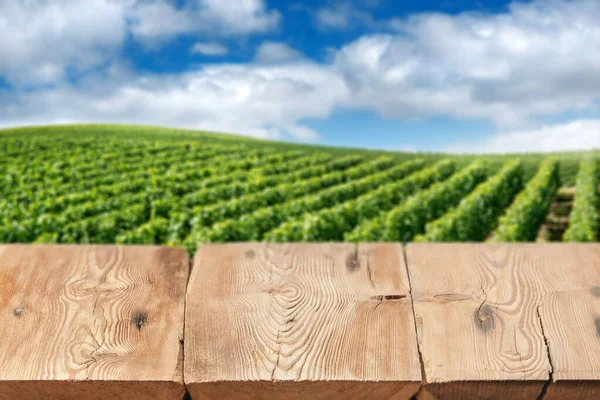 Empty Perspective Wooden Untreated Boards Table Top Blurred Green Vineyard — Stock Photo, Image