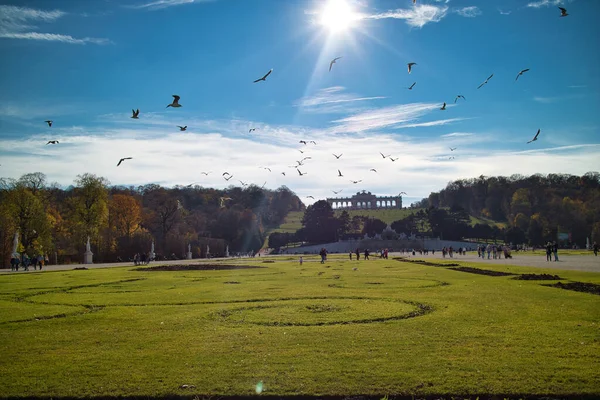 Csodálatos Táj Schonbrunn Palota Előtt Bécsben Ausztriában Széles Zöld Mezővel — Stock Fotó