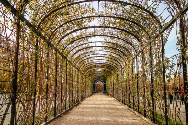Abstract Perspective View Arched Tunnel Pergola Climbing Plants Flowers Park — Stock Photo, Image