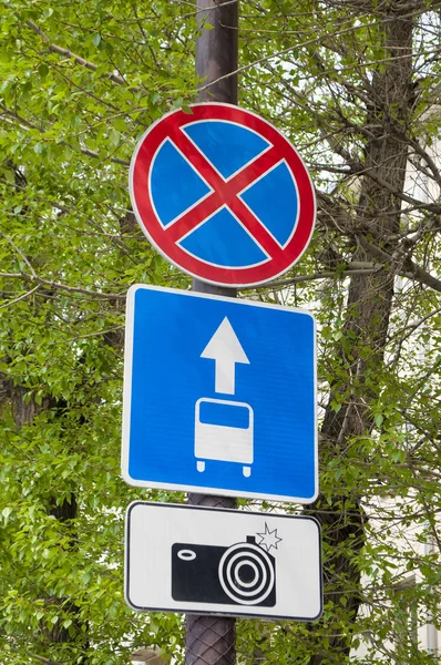 Yeşil yaprakların arka planına karşı yol işaretleri — Stok fotoğraf