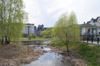 Tyumen güzel bir eve bakan küçük çimenli gölet, 