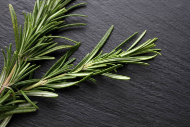 Biberiye yaprakları kayrak Yönetim Kurulu, üstten görünüm, kopya alanı, yakın çekim