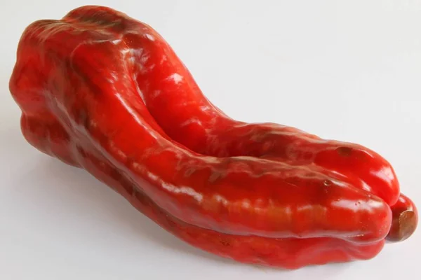 Rode Paprika Witte Achtergrond — Stockfoto