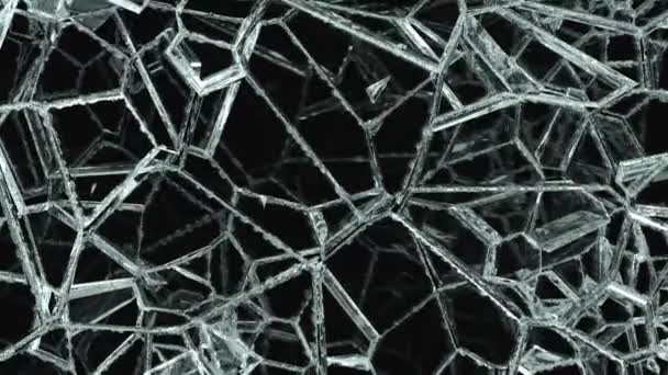 ガラスは粉々 にスローモーションで壊れた アルファ マット のレンダリング アニメーション — ストック動画