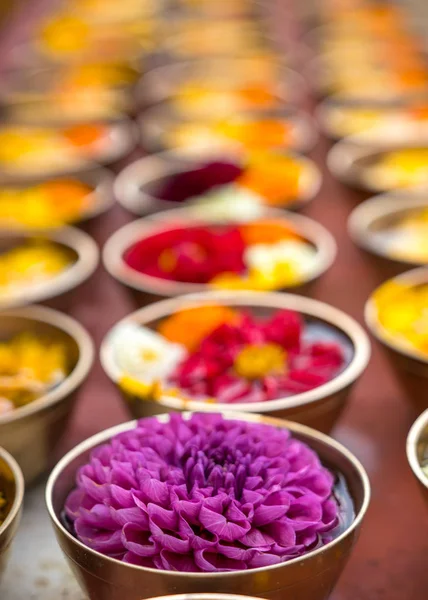 Ofrendas Flores Budistas Regalos Cuencos Filas Ofreciendo Religión Budista Templo — Foto de Stock