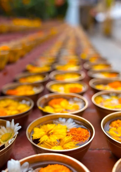 Ofrendas Flores Budistas Regalos Cuencos Filas Ofreciendo Religión Budista Templo — Foto de Stock