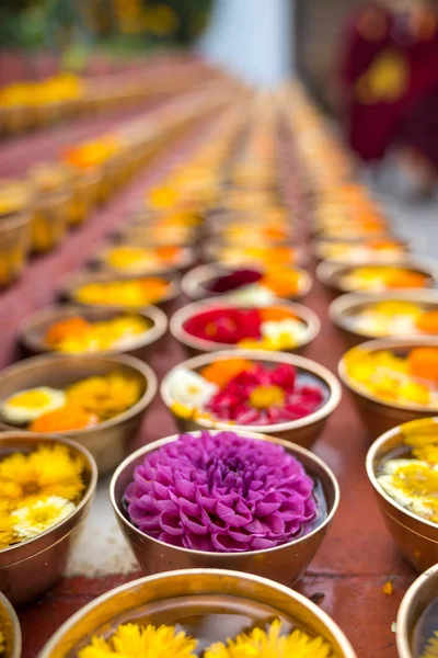 Ofrendas Flores Budistas Regalos Cuencos Filas Ofreciendo Religión Budista Templo — Foto de Stock