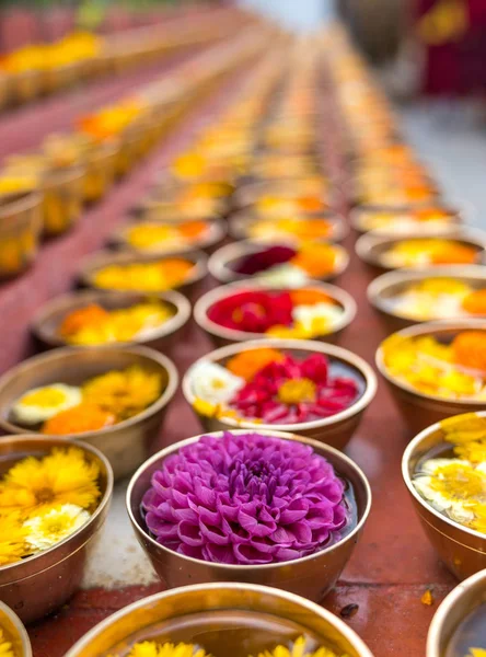 Ofrendas Flores Budistas Regalos Cuencos Filas Ofreciendo Religión Budista Templo — Foto de Stock
