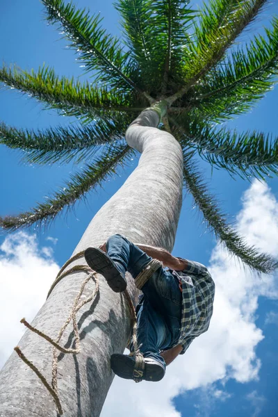 Das Erwachsene Männchen Klettert Mit Einem Seil Auf Einen Hohen — Stockfoto