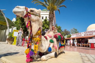 Deve Hammamet eski şehirde turist binme. Tunus'ta Mayıs 2016 yılında yakalanan