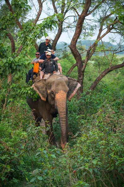 Turister Elelphant Rida Djungeln Fångas Chitwan Nepal Sommaren 2018 — Stockfoto