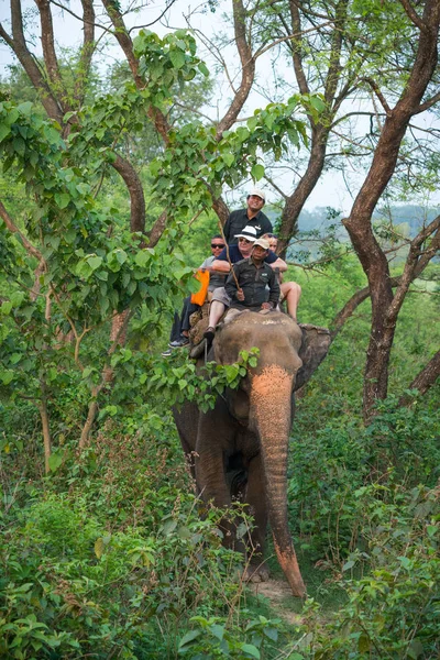 Turister Elelphant Rida Djungeln Fångas Chitwan Nepal Sommaren 2018 — Stockfoto