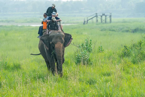 Turister Elelphant Rida Ängen Fångas Chitwan Nepal Sommaren 2018 — Stockfoto