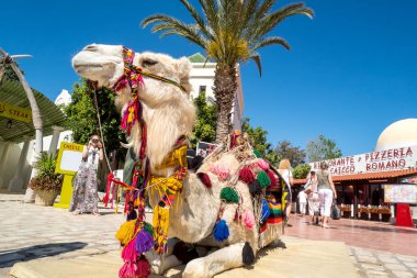 Deve Hammamet eski şehirde turist binme. Tunus'ta Mayıs 2016 yılında yakalanan