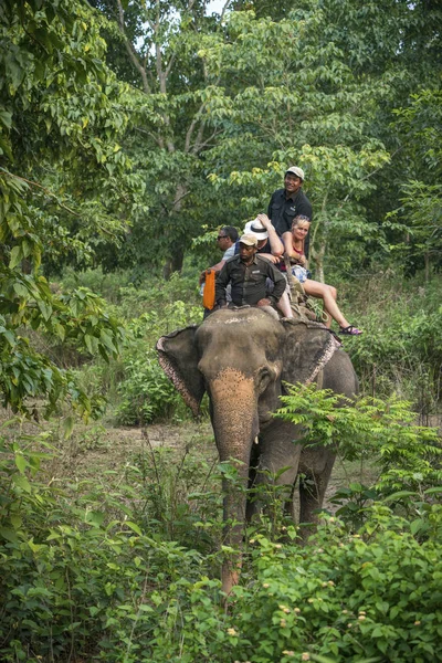 Turister Elelphant Rida Djungeln Fångas Chitwan Nepal Sommaren 2018 — Stockfoto
