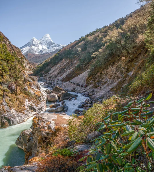 Vertice Ama Dablam Himalaya Trekking Campo Base Dell Everest Trekking — Foto Stock