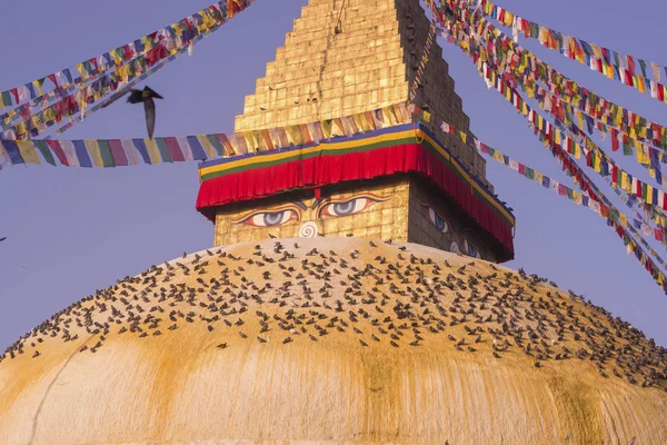 Bouddhanath Stupa Kathmandu Nepal Boeddhistische Stoepa Van Boudha Stupa Nepal — Stockfoto