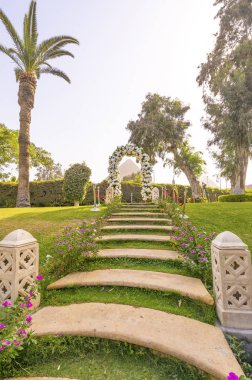 Çiçek kemer selfie Cheops pyrami ile spot olarak