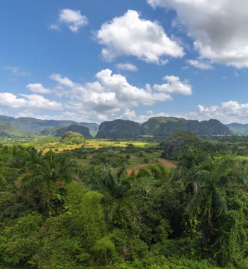 Küba'nın Pinar del R o Vinales Vadisi sitesi