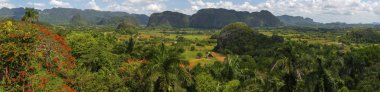 Küba'nın Pinar del R o Vinales Vadisi sitesi