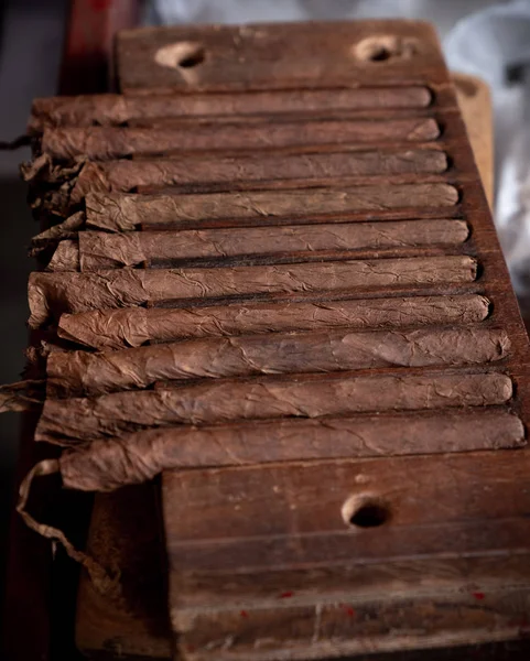 Cigar rolling or making by torcedor in cuba — Stock Photo, Image