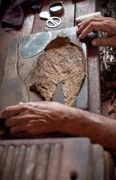 Laminación o fabricación de cigarros por torcedor en cuba —  Fotos de Stock