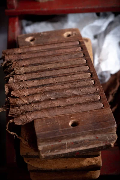 Cigar rolling or making by torcedor in cuba — Stock Photo, Image