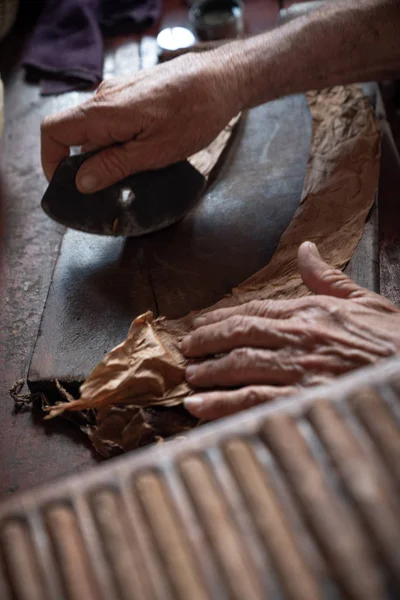 Laminación o fabricación de cigarros por torcedor en cuba —  Fotos de Stock