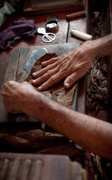 Cigar rolling or making by torcedor in cuba — Stock Photo, Image