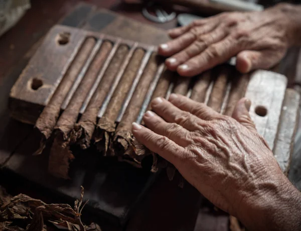Cigarr rullande eller tillverkning av torcedor på Kuba — Stockfoto