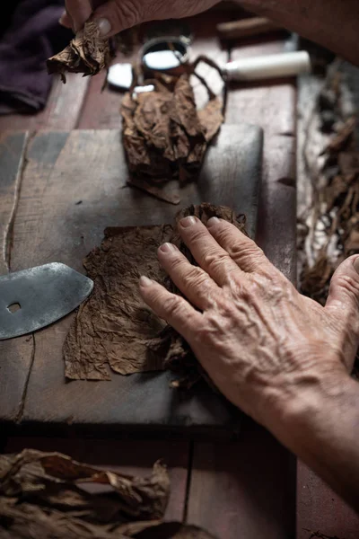 Laminage ou fabrication de cigares par torcedor en cuba — Photo