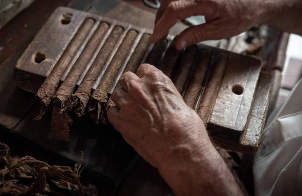 Sigaar rollen of maken door torcedor in Cuba Rechtenvrije Stockfoto's