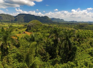 Küba'nın Pinar del Rio Vinales Vadisi sitesi
