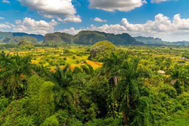 Küba'nın Pinar del Rio Vinales Vadisi sitesi