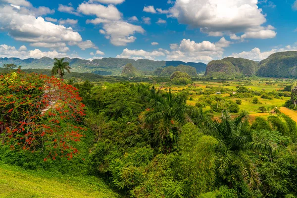 Vinales Valley site em Pinar del Rio de Cuba — Fotografia de Stock