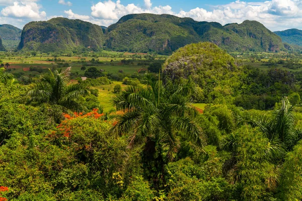 Vinales Valley site em Pinar del Rio de Cuba — Fotografia de Stock