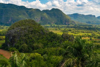 Küba'nın Pinar del Rio Vinales Vadisi sitesi