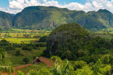 Küba'nın Pinar del Rio Vinales Vadisi sitesi