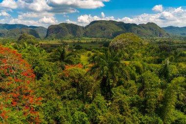 Küba'nın Pinar del Rio Vinales Vadisi sitesi