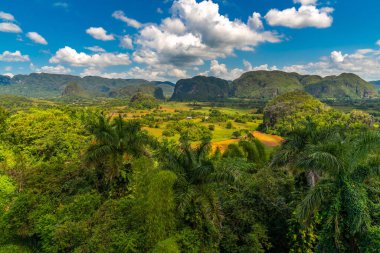 Küba'nın Pinar del Rio Vinales Vadisi sitesi