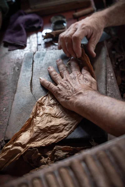 Zigarrenrollen oder Herstellung durch Torcedor in Kuba — Stockfoto