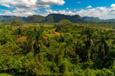 Küba'nın Pinar del Rio Vinales Vadisi sitesi