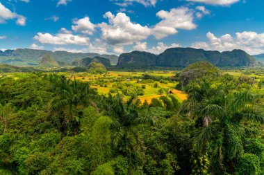 Küba'nın Pinar del Rio Vinales Vadisi sitesi